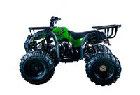 Vitacci Rider 10 125cc Youth ATV, Automatic with Reverse, Hand Shift, Electric Start, Front Drum & Rear Disc Brakes, Remote Shut Off
