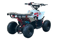 Apollo  Shriek 110 Kids ATV, Automatic, Electric Start, 23" Seat Height, Throttle Limiter. LED Head Lamps
