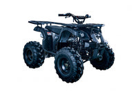 Vitacci Rider 10 125cc Youth ATV, Automatic with Reverse, Hand Shift, Electric Start, Front Drum & Rear Disc Brakes, Remote Shut Off