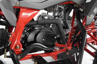 Vitacci Falcon X 119.7cc Youth ATV, Semi-Automatic with Reverse, Front and Rear Hydraulic Brakes, Electric Start, CDI Ignition, Air-Cooled 4-Stroke Engine, 8 Inch Wheels
