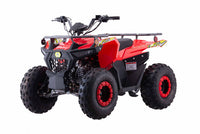 Vitacci IRide 125cc Mid Size Youth ATV, Electric Start, Automatic Trans, Reverse, Over head Cam, Balanced Shaft Engine