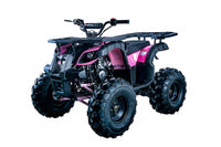 Vitacci Rider 10 125cc Youth ATV, Automatic with Reverse, Hand Shift, Electric Start, Front Drum & Rear Disc Brakes, Remote Shut Off