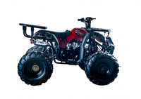 Vitacci Rider 10 125cc Youth ATV, Automatic with Reverse, Hand Shift, Electric Start, Front Drum & Rear Disc Brakes, Remote Shut Off