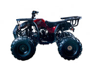 Vitacci Rider 10 125cc Youth ATV, Automatic with Reverse, Hand Shift, Electric Start, Front Drum & Rear Disc Brakes, Remote Shut Off