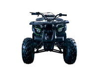 Vitacci Rider 10 125cc Youth ATV, Automatic with Reverse, Hand Shift, Electric Start, Front Drum & Rear Disc Brakes, Remote Shut Off