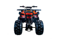 Vitacci Rider 10 125cc Youth ATV, Automatic with Reverse, Hand Shift, Electric Start, Front Drum & Rear Disc Brakes, Remote Shut Off