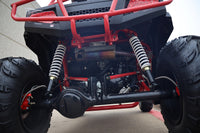 Vitacci Predator FX400 311cc 2-Seat UTV, Automatic CVT with Reverse, Shaft Drive 4x2, Full Suspension, Dual Hydraulic Disc Brakes, 25 Inch Off-Road Tires, Bucket Seats