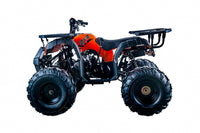 Vitacci Rider 10 125cc Youth ATV, Automatic with Reverse, Hand Shift, Electric Start, Front Drum & Rear Disc Brakes, Remote Shut Off
