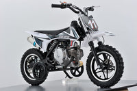 Vitacci DB-S60 Kids 4 stroke dirt Bike, 25 inch seat height, 10 inch front tire. Electric Start, Removeable Training Wheels, Dual Disk Brakes