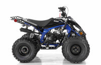 Vitacci Falcon X 119.7cc Youth ATV, Semi-Automatic with Reverse, Front and Rear Hydraulic Brakes, Electric Start, CDI Ignition, Air-Cooled 4-Stroke Engine, 8 Inch Wheels