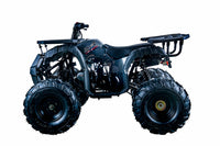 Vitacci Rider 10 125cc Youth ATV, Automatic with Reverse, Hand Shift, Electric Start, Front Drum & Rear Disc Brakes, Remote Shut Off