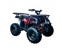 Vitacci Rider 10 125cc Youth ATV, Automatic with Reverse, Hand Shift, Electric Start, Front Drum & Rear Disc Brakes, Remote Shut Off