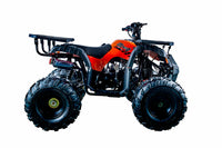 Vitacci Rider 10 125cc Youth ATV, Automatic with Reverse, Hand Shift, Electric Start, Front Drum & Rear Disc Brakes, Remote Shut Off