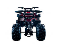 Vitacci Rider 10 125cc Youth ATV, Automatic with Reverse, Hand Shift, Electric Start, Front Drum & Rear Disc Brakes, Remote Shut Off