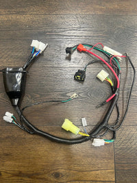 Main Wire Harness.