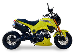 Ice Bear Fuerza PMZ125-1 125cc Street Bike, 4-Speed Manual, Dual Disc Brakes, 12-Inch Rims, CA Legal