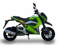 Ice Bear Evader M5, 50cc. automatic trans, full light package, telescoping front forks, electric start