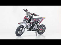 Tao MT-DB20 110cc Youth Dirt Bike, Automatic, Electric Start, Gold Drive Chain, Folding Adjustable Levers, Color Matched Grips, Off Road Only
