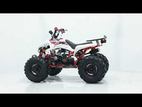 Tao Cheetah G125 107cc Youth ATV, Automatic with Reverse, Front & Rear Adjustable Shocks, Powder Coated Frame, 19 Inch Tires, Race Style