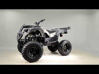 Tao Bull 150 149cc Adult ATV, Automatic with Reverse, CVT Belt Drive, LED Headlights, Hydraulic Disc Brakes, Metal Cargo Racks, 23 Inch Tires