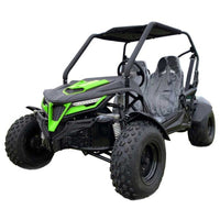 Trailmaster Cheetah 200E Off Road UTV / Go Kart /  Fuel Injected, Upgraded Rear End Suspension, Body Kit to keep you drier, Disk Brakes