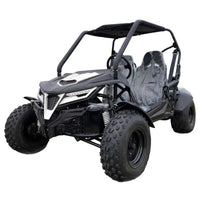 Trailmaster Cheetah 200E Off Road UTV / Go Kart /  Fuel Injected, Upgraded Rear End Suspension, Body Kit to keep you drier, Disk Brakes