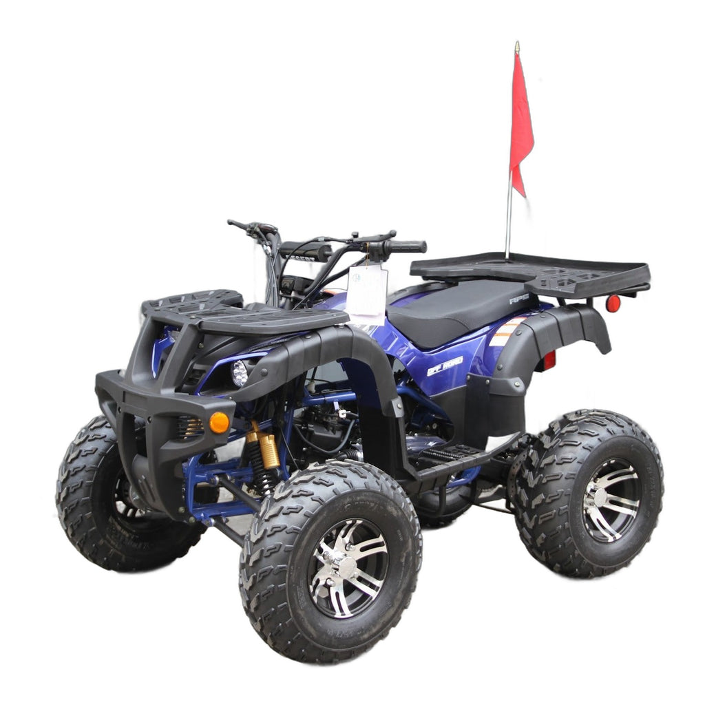 RPS Desert 200 Utility ATV Deluxe Full Size Adult ATV, Automatic with Reverse, Aluminum Rim 21-inch Tires with Free Battery Charge, up to $49 value