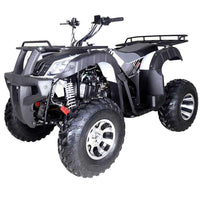 RPS UT 200ATV Deluxe Full Size Adult ATV, Automatic with Reverse, Aluminum Rim 21-inch Tires