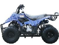 Coolster ATV Series Ranger Youth 110, 107cc, Automatic Trans, parental controls. Great Gift for Kids