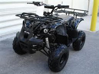 Tao Utility/Rancher 110 MID SIZE FRAME ATV. Automatic with Reverse