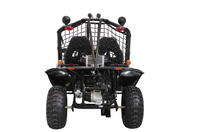 Vitacci Spider 200 DLX Elite Sand-Rail Style - Off Road Trail Buggy / Dune Buggy / Go Kart