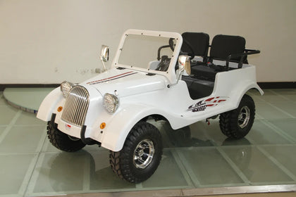 RPS Youth Mini-Jeep, 150cc, Auto Trans, Adjustable Seat - Motobuys