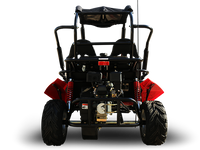 Trailmaster Blazer 200R Go Kart Youth Go Kart.  Ages 10 and up, Mid size Kids cart, Body Kit with reverse.