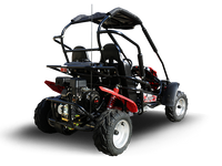 Trailmaster Blazer 200R Go Kart Youth Go Kart.  Ages 10 and up, Mid size Kids cart, Body Kit with reverse.