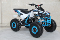 Trailmaster C125, 125cc Sports Style Mid size Youth Quad