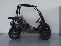 Trailmaster Cheetah 6 163cc  Youth off road go kart with reverse. Speed limiter , remote Kill