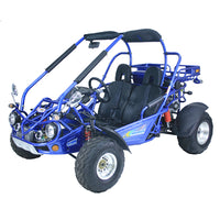 TRAILMASTER 300XRX-E (EFI) Buggy / Go Kart  Water Cooled, Fuel Injected, Independent rear axles, Double A Arm Coil