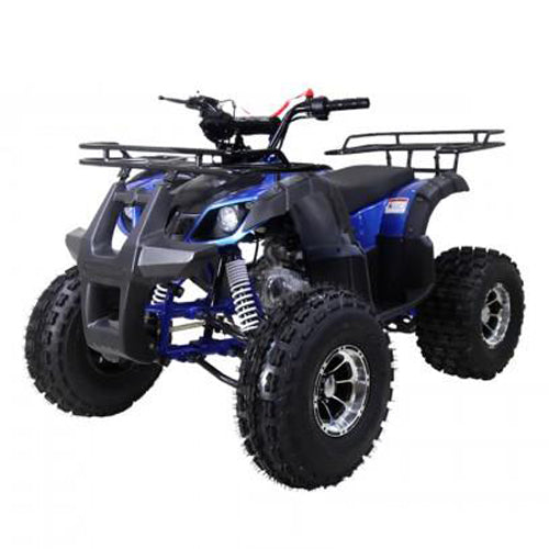 Tao T Force UT 125 DLX Chrome Rims, Larger Frame, Larger Engine Speed Limiter, Automatic Transmission. Off road only. CA Legal