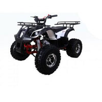 Tao T Force UT 125 DLX Chrome Rims, Larger Frame, Larger Engine Speed Limiter, Automatic Transmission. Off road only. CA Legal
