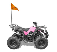 Trailmaster T125U Rancher style, ATV 125cc  8" rims 19 inch Tires . Automatic with reverse
