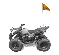 Trailmaster T125U Rancher style, ATV 125cc  8" rims 19 inch Tires . Automatic with reverse