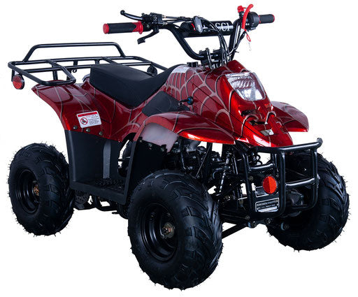 Coolster ATV Series Ranger Youth 110, 107cc, Automatic Trans, parental controls. Great Gift for Kids