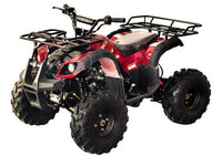 Coolster 3125R, 107cc,  Youth Quad Mid-Size Deluxe Sport. With Reverse and Electric Start