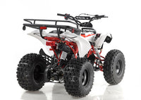 Apollo SportTrax 125cc Youth Race Style Quad. Automatic trans, children ages 12-Year-old and Up