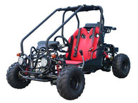 Tao GK110 Youth Go Kart- ages 5 to 10, with reverse, high back seats, Electric Start, With Reverse