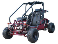 Tao GK110 Youth Go Kart- ages 6 to 10, with reverse, high back seats, Electric Start, With Reverse