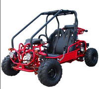 Tao GK110 Youth Go Kart- ages 6 to 10, with reverse, high back seats, Electric Start, With Reverse