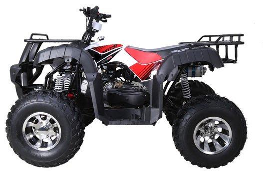 Tao Bull 200 Sport-Utility ATV, 169cc, Electric Start, Automatic with Reverse, Full Size Adult ATV