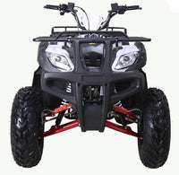 Tao Bull 200 Sport-Utility ATV, 169cc, Electric Start, Automatic with Reverse, Full Size Adult ATV