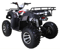 Tao Bull 200 Sport-Utility ATV, 169cc, Electric Start, Automatic with Reverse, Full Size Adult ATV